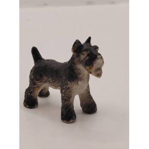 Schnauzer