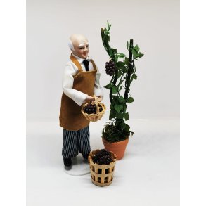 Blomster og planter DIY