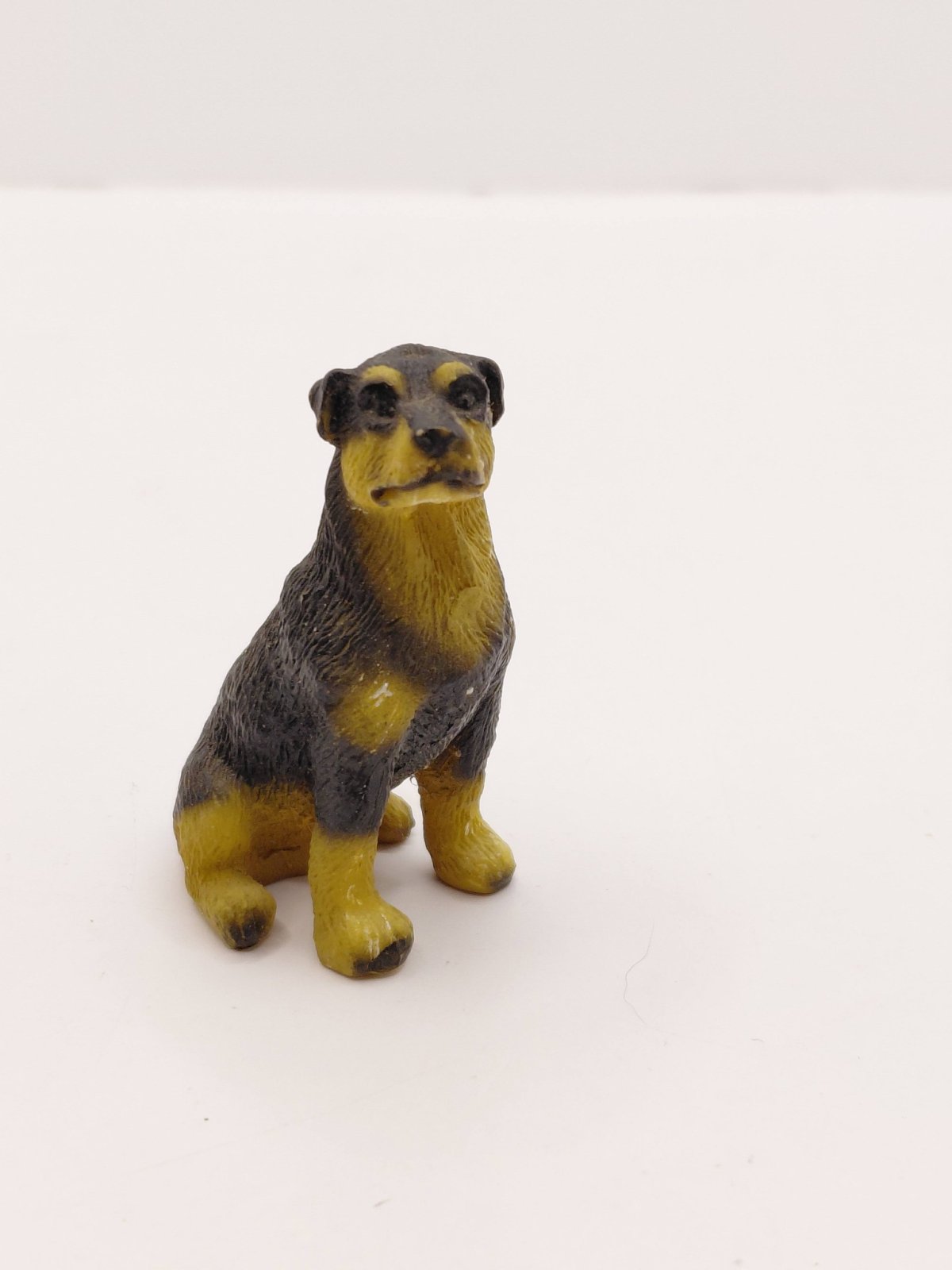 Rottweiler - Frost miniature