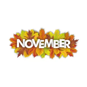 November udsalg