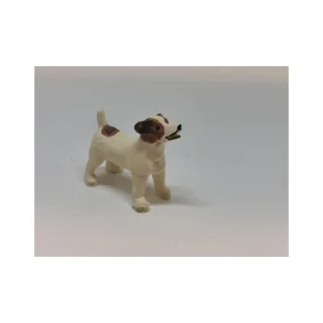 Dansk/svensk g&aring;rdhund/ Foxterrier