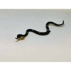 Slanger, frøer og andre krybdyr