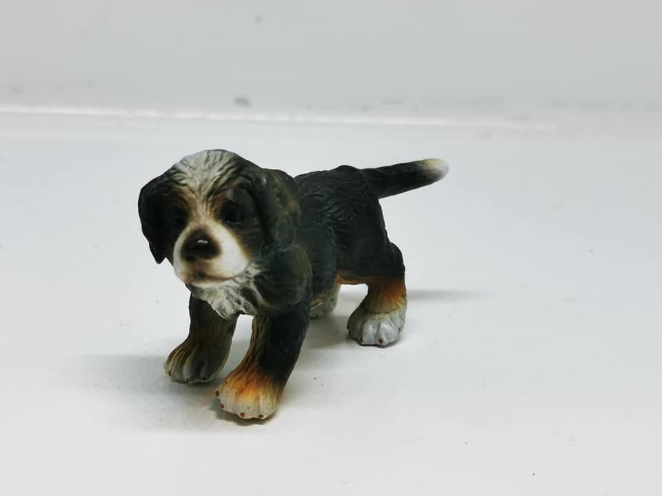 Grundlæggende teori høflighed i live Hund i plastik (brugt) - Hunde - Frost miniature