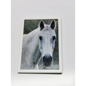 Billede af hest (brugt)