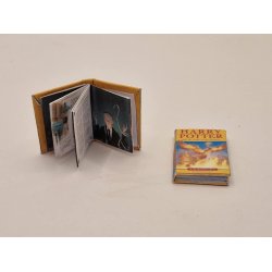 Harry Potter bog med billeder og tekst (hndlavet)