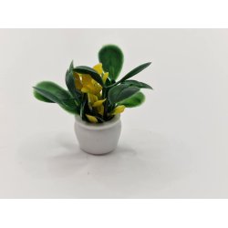 Potteplante med gule blomster (ny)