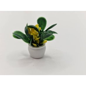 Potteplante med gule blomster (ny)