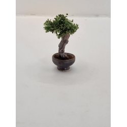 Kunstig bonsai tr (hndlavet)