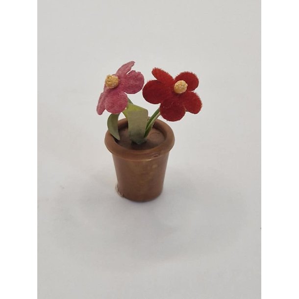 Potteplante (brugt)