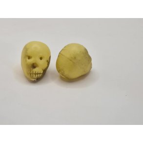 Skelet hoved i plastik (nyt)