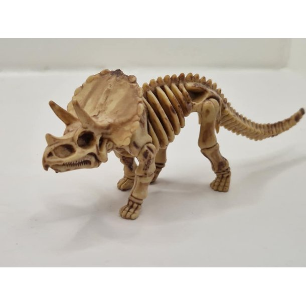 Triceratops skelet (2) (brugt)