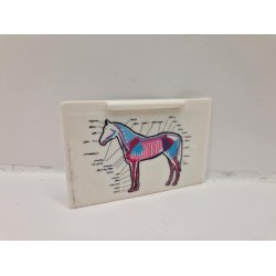 Heste tavle og rntgenbillede i plastik. Schleich (brugt)