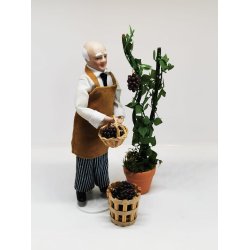 Lav din egen vin ranke/plante i potte IKKE TIL SALG