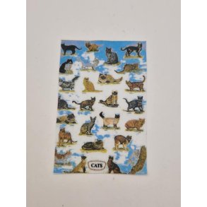 Plakat med katte (ny)