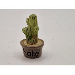 Kaktus i potte i keramik (brugt/som ny)