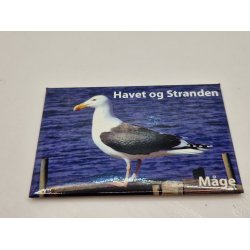 Billede/skilt. Havet og stranden. Magnet (brugt/som nyt) 8 x 5,4 cm