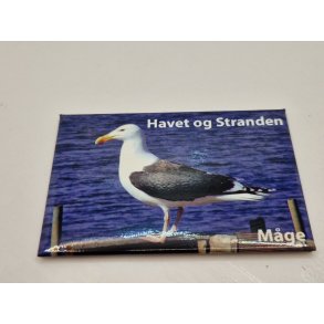 Billede/skilt. Havet og stranden. Magnet (brugt/som nyt) 8 x 5,4 cm
