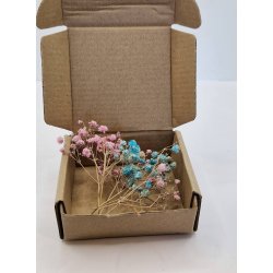 ske med farvet brudeslr (nyt)