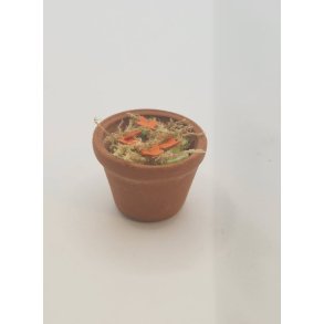 Potteplante med orange blomster (brugt)