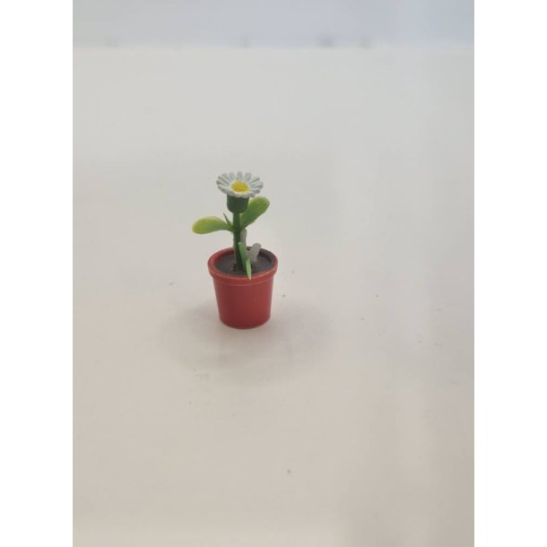 Potteplante (brugt)