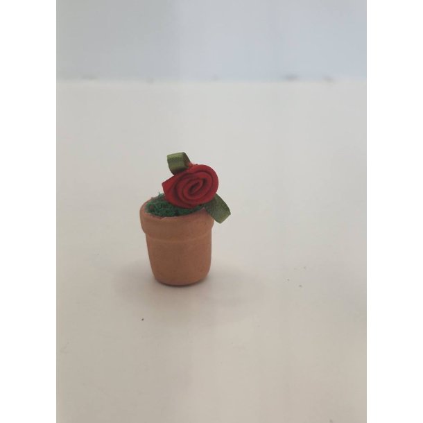 Potteplante (brugt)