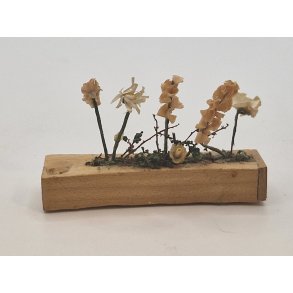 Altan kasse med blomster (vintage)