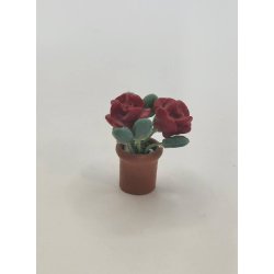 Roser i potte (brugt)