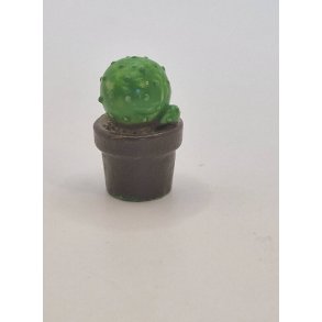 Kaktus i potte (brugt)