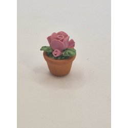 Rose i potte (brugt)