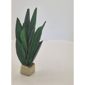 Svigermors skarpe tunge. Grn plante i potte (hndlavet)