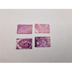 P laboratorium. 4 meget sm billeder i kraftig karton (nye)