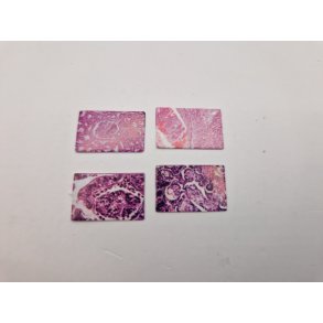 P laboratorium. 4 meget sm billeder i kraftig karton (nye)