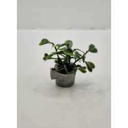 Potteplante i plastik potte (vintage)