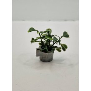 Potteplante i plastik potte (vintage)