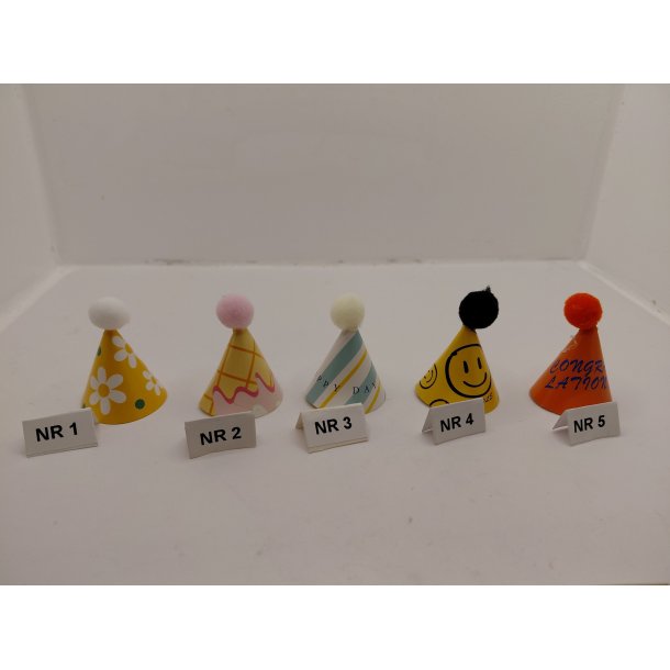 Nyt�rs/f�dselsdags hat (ny)