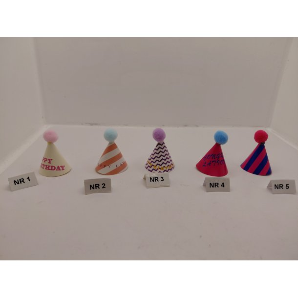 Nyt�rs/f�dselsdags hat (ny)