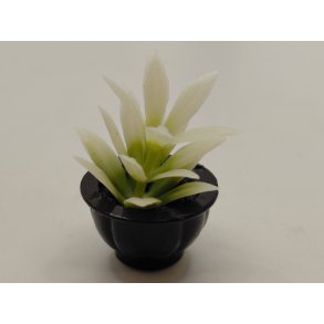 Plante i urtepotte, i plastik (ny)