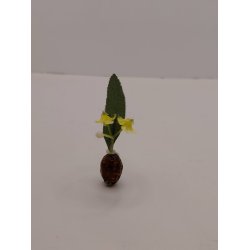 Blomster i vase (brugt)