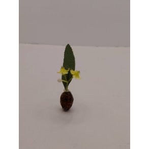 Blomster i vase (brugt)