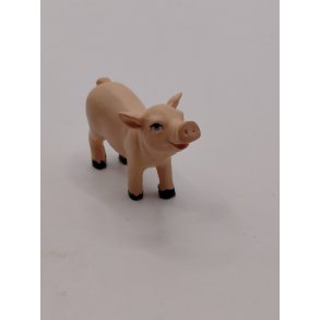 Gris i resin (brugt)