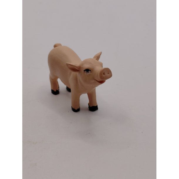 Gris i resin (brugt)
