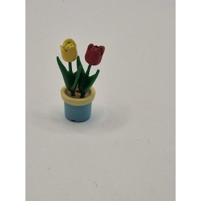 Potte med tulipaner i plastik (brugt)