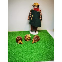 Pindsvin i porceln  (nyt)