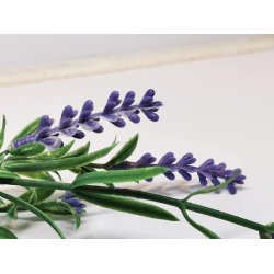 Lavendel gren (brugt)