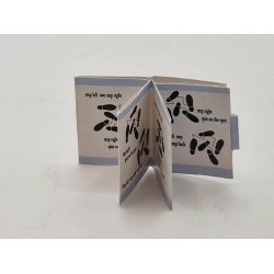 Danse step bog (brugt)