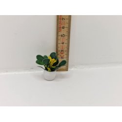 Potteplante med gule blomster (ny)