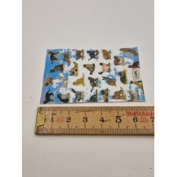 Plakat med katte (ny)