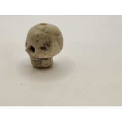 Skelet hoved i resin (nyt)