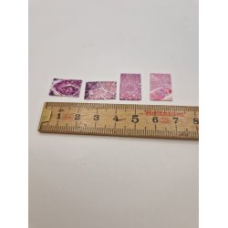 P laboratorium. 4 meget sm billeder i kraftig karton (nye)