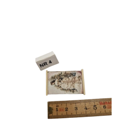 Billede af brud (hndlavet)